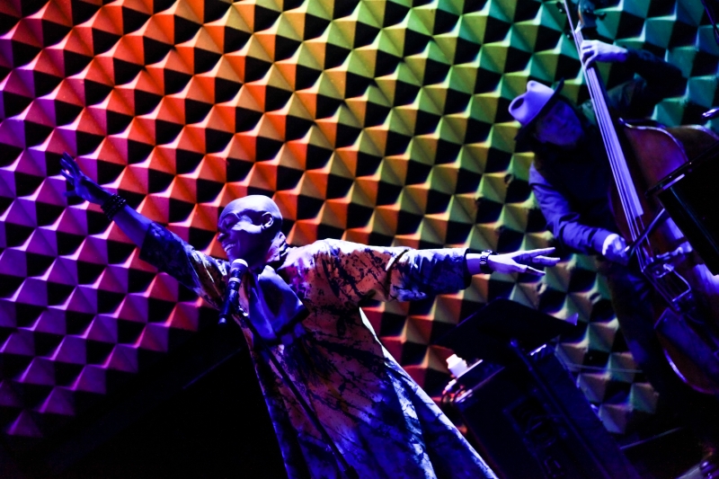 Interview: Justin Elizabeth Sayre of 11th ANNUAL NIGHT OF A THOUSAND JUDYS at Joe's Pub Image