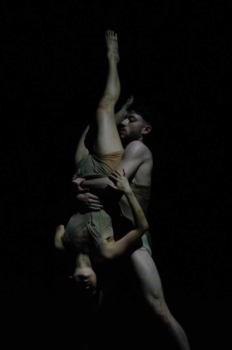Review: GALLIM CELEBRATES 15 YEARS OF ARTISTIC EXPLORATION AND EVOLUTION at The Joyce Theater Image