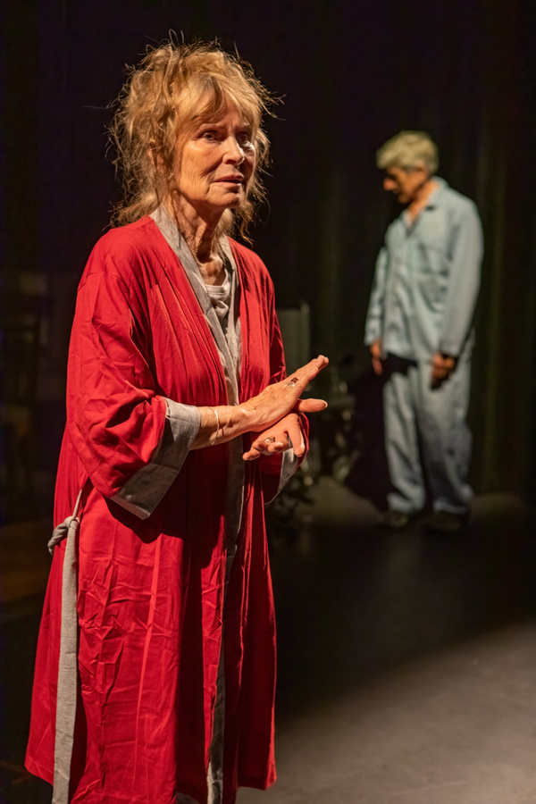 Photos: FIRST LOOK AT: THE WINDOW OUTSIDE By BELINDA LOPEZ (Canadian Premiere) Image