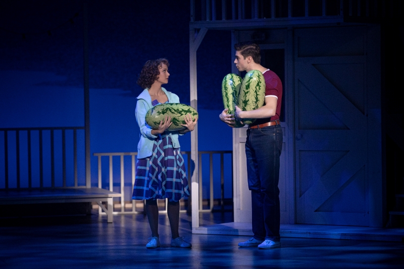 Review: DIRTY DANCING THE ORIGINAL LIVE ON TOUR at WIENER STADTHALLE Image