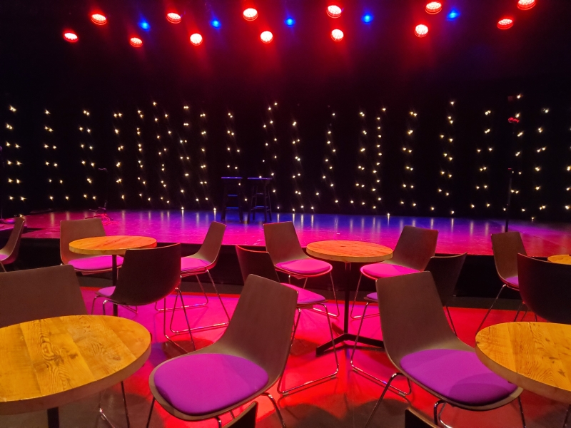 Review: A QUIRKY COMEDY CABARET at the NAC's Fourth Stage Image