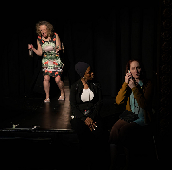 Photos: COUGAR, THE MUSICAL Reunion Show Opens At The Triad Image