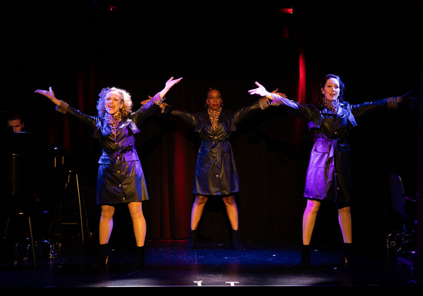 Photos: COUGAR, THE MUSICAL Reunion Show Opens At The Triad 