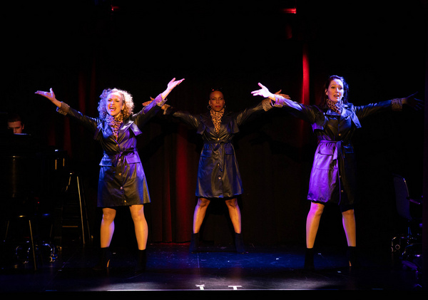 Photos: COUGAR, THE MUSICAL Reunion Show Opens At The Triad Image
