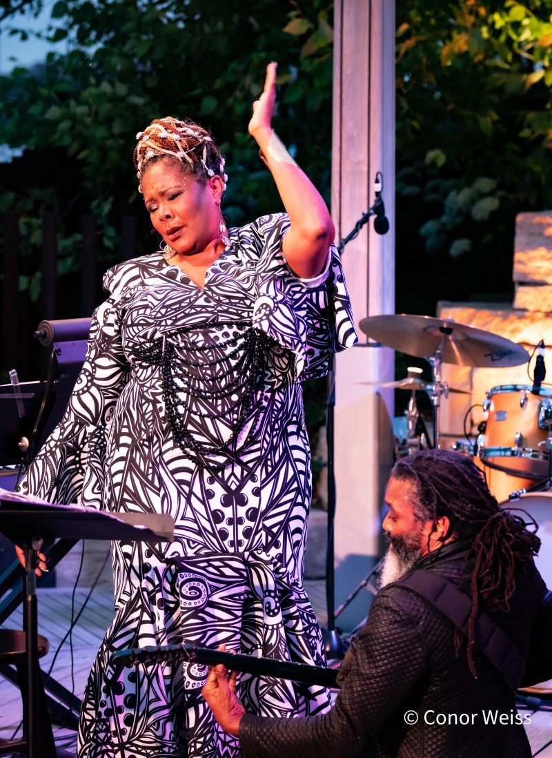 Photos: TONYA PINKINS at The Glade at Little Island Image