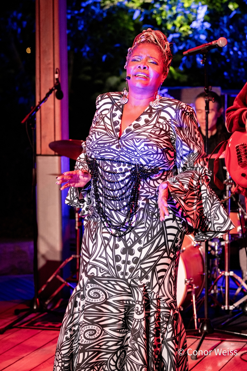 Photos: TONYA PINKINS at The Glade at Little Island Image