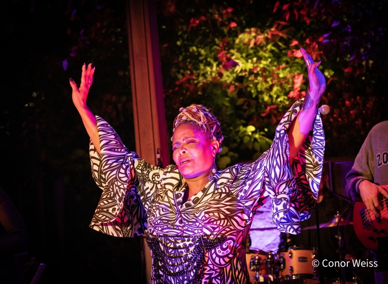 Photos: TONYA PINKINS at The Glade at Little Island Image