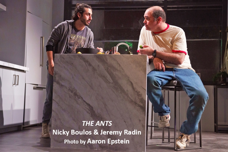 Interview: Ramiz Monsef's Returns to the Geffen to Spread His ANTS Image