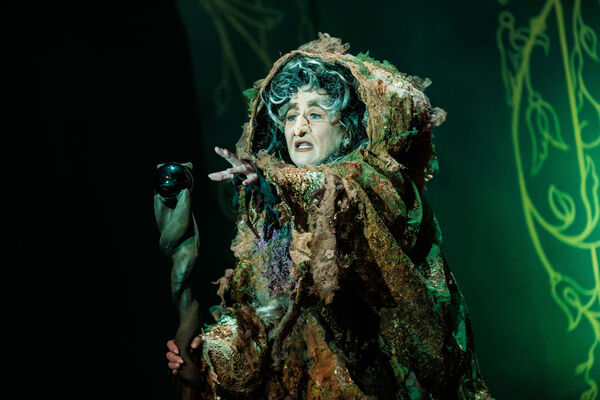 Photos: First Look At INTO THE WOODS At The REV Theatre Company Image