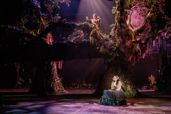 Photos: First Look At INTO THE WOODS At The REV Theatre Company Image