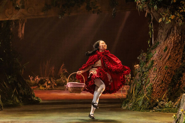 Photos: First Look At INTO THE WOODS At The REV Theatre Company Image