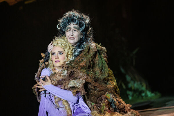 Photos: First Look At INTO THE WOODS At The REV Theatre Company Image