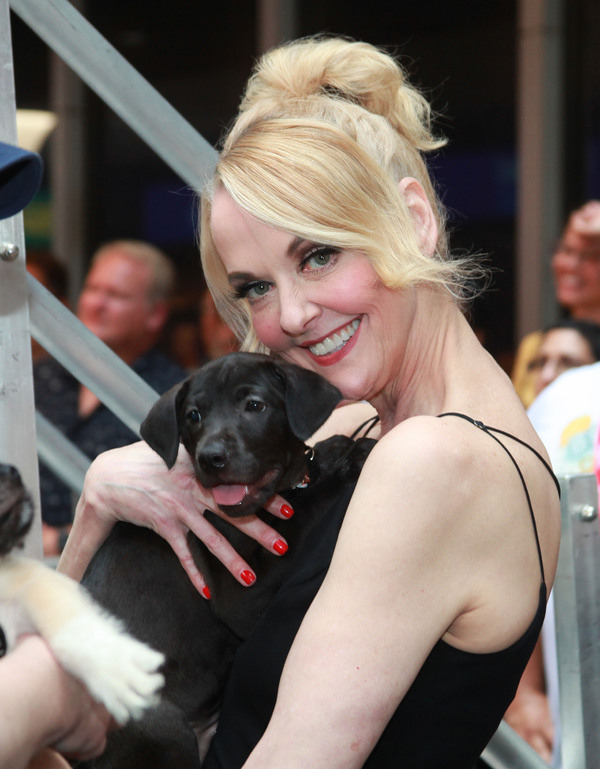 Photos: Inside the 25th Annual BROADWAY BARKS Adoption Event Image