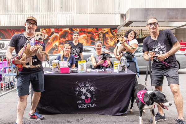 Photos: Inside the 25th Annual BROADWAY BARKS Adoption Event Image