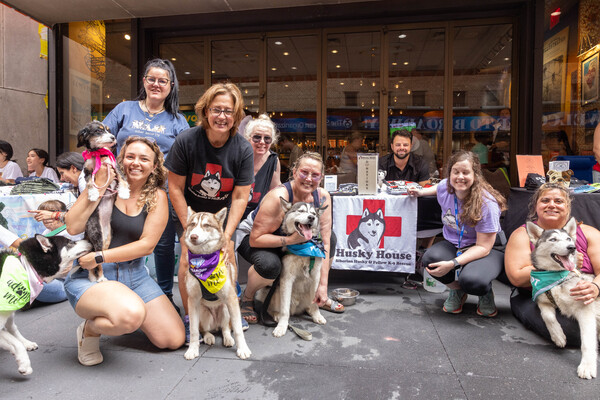 Photos: Inside the 25th Annual BROADWAY BARKS Adoption Event Image