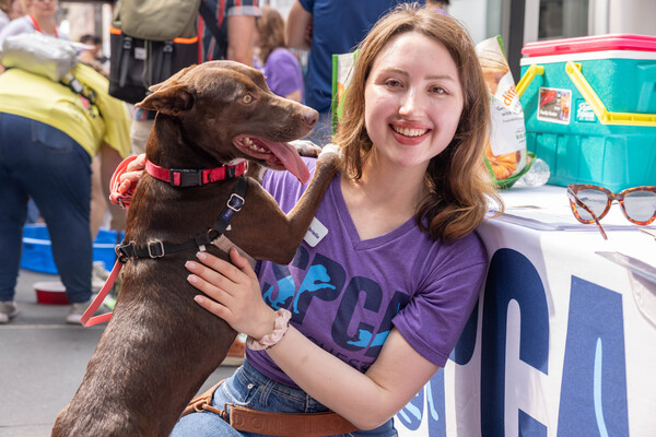 Photos: Inside the 25th Annual BROADWAY BARKS Adoption Event Image