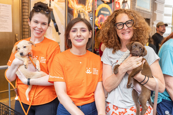 Photos: Inside the 25th Annual BROADWAY BARKS Adoption Event Image