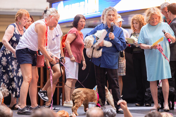 Photos: Inside the 25th Annual BROADWAY BARKS Adoption Event Image