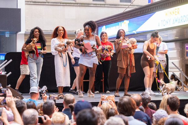 Photos: Inside the 25th Annual BROADWAY BARKS Adoption Event Image