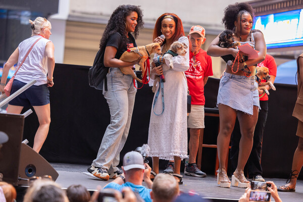 Photos: Inside the 25th Annual BROADWAY BARKS Adoption Event Image