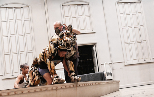 Photos: Get an Intimate Look at Backstage Life at LIFE OF PI on Broadway Image
