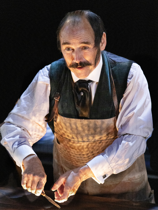 Photos: First Look at Mark Rylance in DR SEMMELWEIS at the Harold Pinter Theatre Image