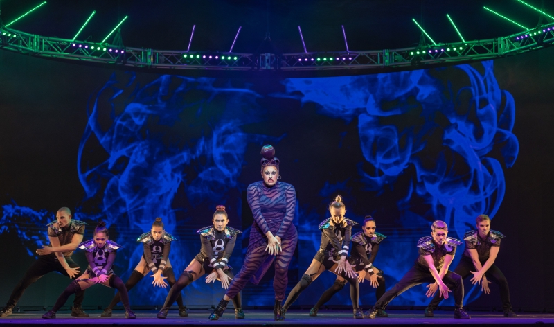 Review: WE WILL ROCK YOU at Regal Theatre Image