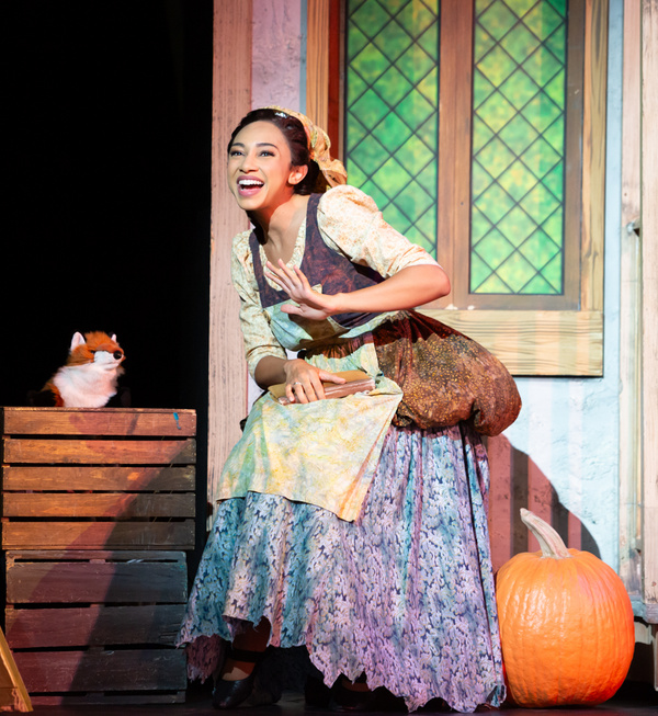 Photos: First Look at CINDERELLA at 5-Star Theatricals Image