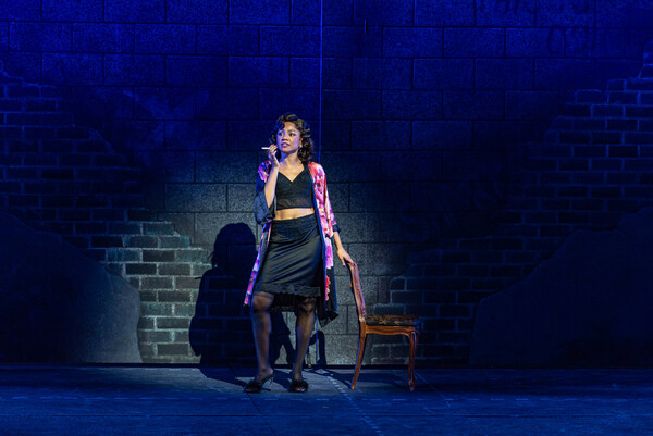 Photos/Video: First Look at WEST SIDE STORY at The Muny Image