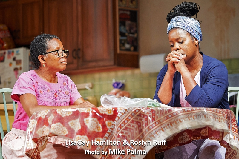 Interview: LisaGay Hamilton Cooks Up a Tasty STEW at the Pasadena Playhouse Image