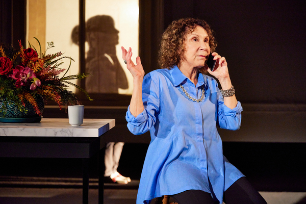 Photos: First Look at Arielle Goldman, Leslie Rodriguez Kritzer & Rhea Perlman in LET'S CALL HER PATTY Image