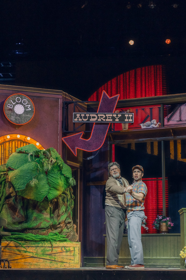 Photos & Video: Inside Opening Night of LITTLE SHOP OF HORRORS at The Muny Image