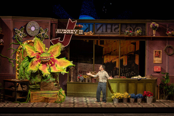 Photos & Video: Inside Opening Night of LITTLE SHOP OF HORRORS at The Muny Image