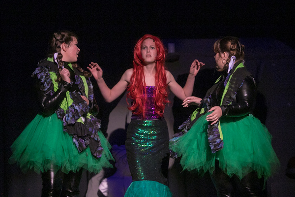 Photos: First Look At THE LITTLE MERMAID At The Victoria Players Children's Theatre Image
