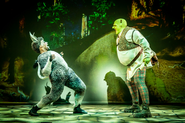 Photos/Video: First Look at SHREK THE MUSICAL UK Tour Image