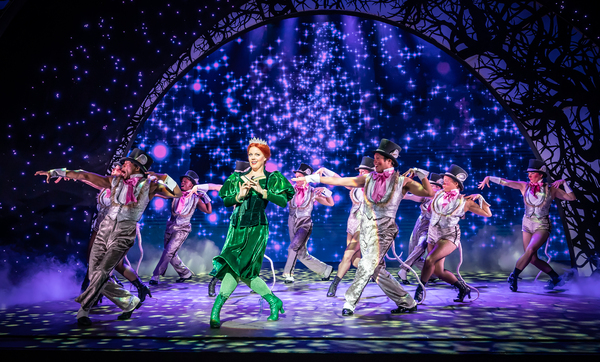 Photos/Video: First Look at SHREK THE MUSICAL UK Tour Image
