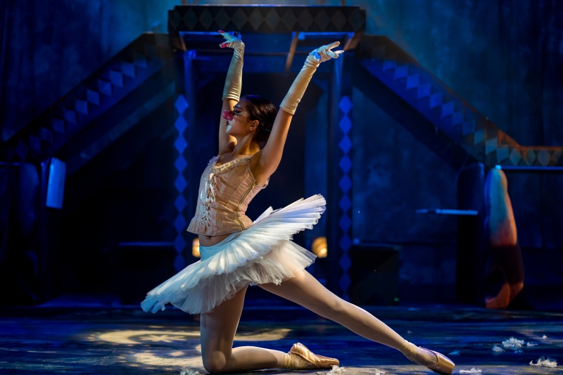 Review: CYRANO DE BERGERAC at Synetic Theater Image