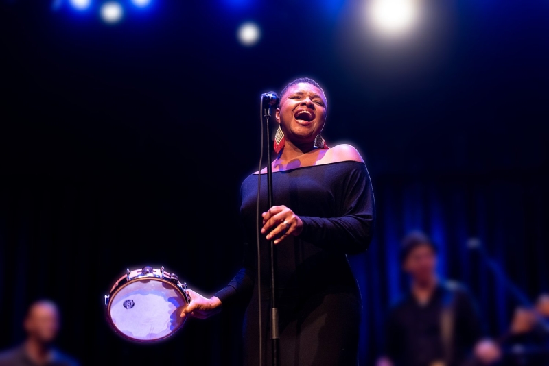 Brooke Shields To Headline THE CABARET's Eclectic Fall Season Image