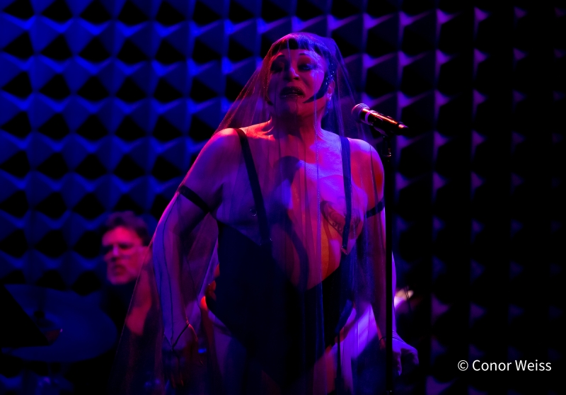 Photos: JOEY ARIAS Opens Four Night Run At Joe's Pub Image