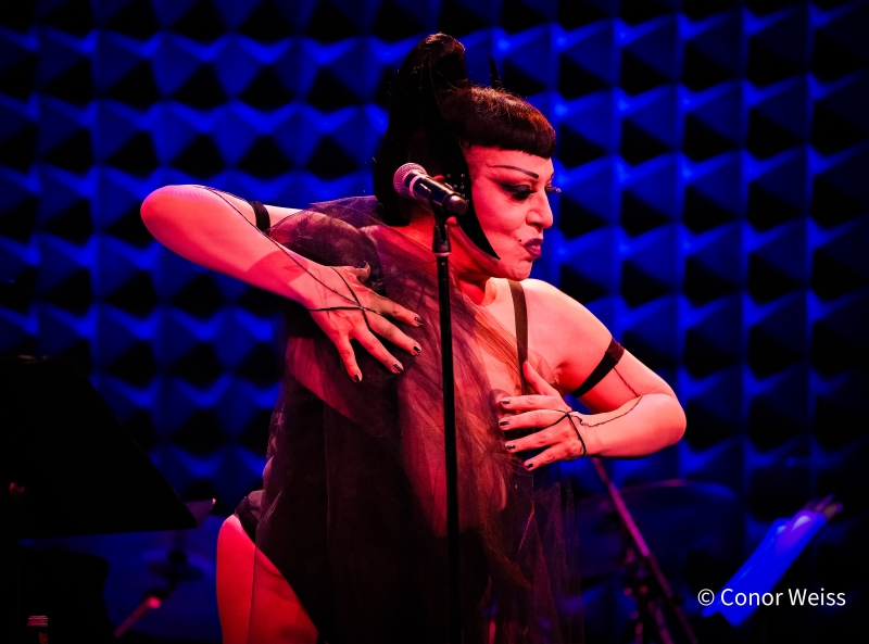 Photos: JOEY ARIAS Opens Four Night Run At Joe's Pub Image
