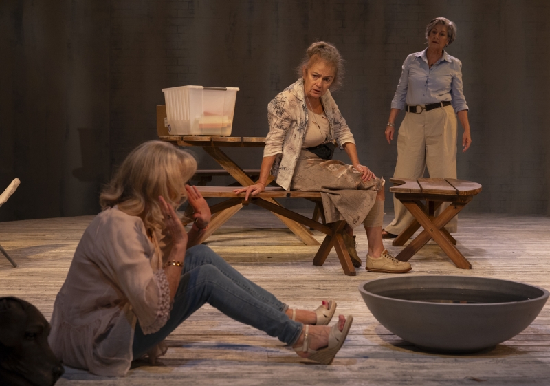 REVIEW: Charlotte Wood's THE WEEKEND Is Given The Stage Treatment With Sue Smith's Adaptation. 