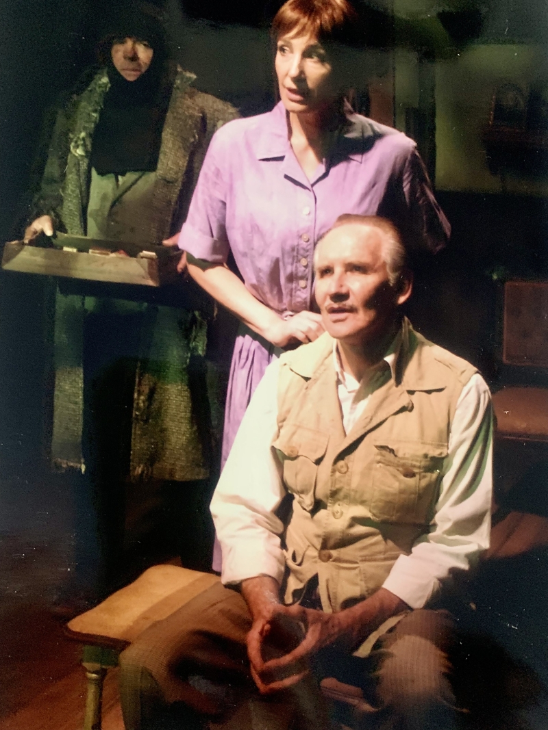 Interview: Susan Priver On Returning To Harold Pinter's A SLIGHT ACHE After 17 Years Image
