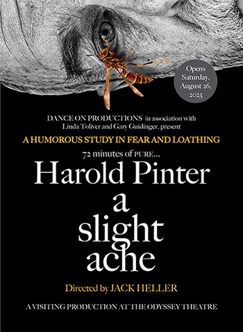 Interview: Susan Priver On Returning To Harold Pinter's A SLIGHT ACHE After 17 Years 
