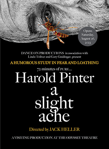 Interview: Susan Priver On Returning To Harold Pinter's A SLIGHT ACHE After 17 Years Image