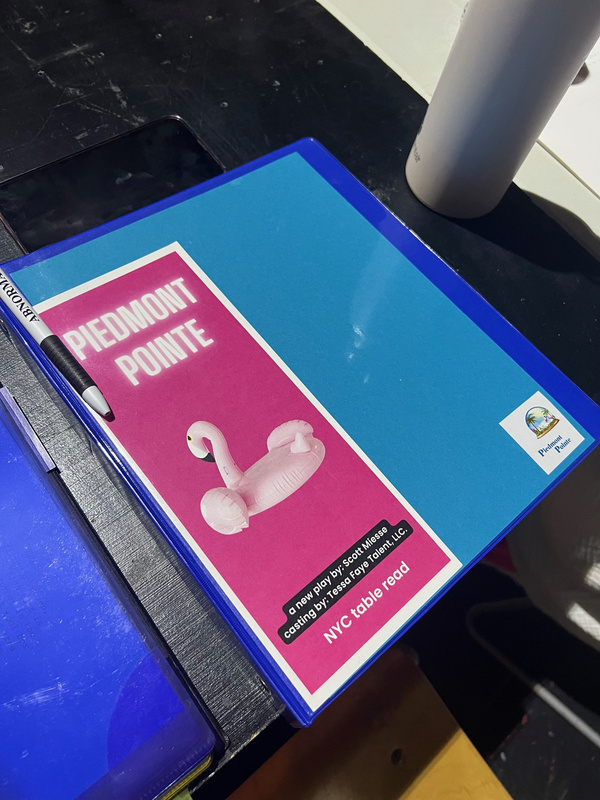 Photos: PIEDMONT POINTE Begins Rehearsals At Theatre Row Image