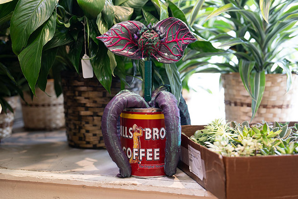 Photos: First Look At The Cast of LITTLE SHOP OF HORRORS At Paramount Theatre Image