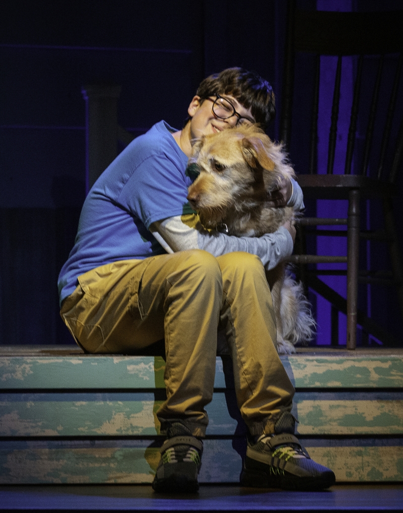 Review: ON CEDAR STREET at Berkshire Theatre Group Image