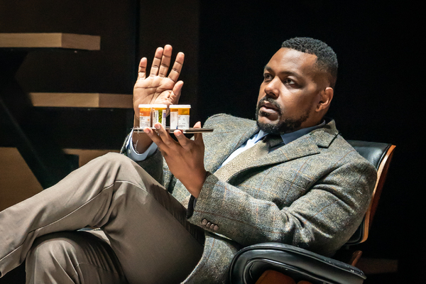 Photos: NEXT TO NORMAL at the Donmar Warehouse, Starring Caissie Levy Image