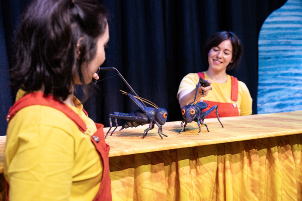 Photos: First Look at the Colorful Creatures of THE ERIC CARLE STORY SHOW Image