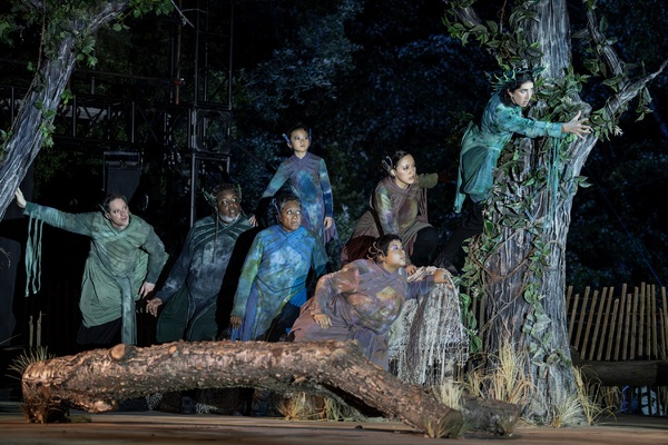 Photos: First Look at Renée Elise Goldsberry & More in Public Works' THE TEMPEST Image